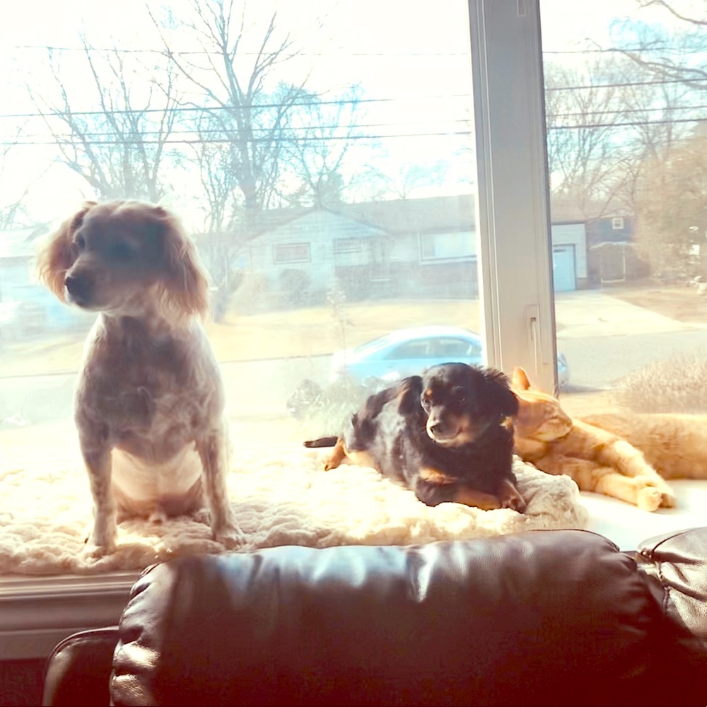 My babies ❤️❤️